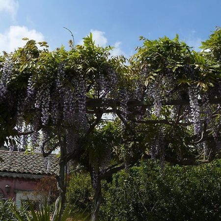 B&B Velardi Viagrande Extérieur photo